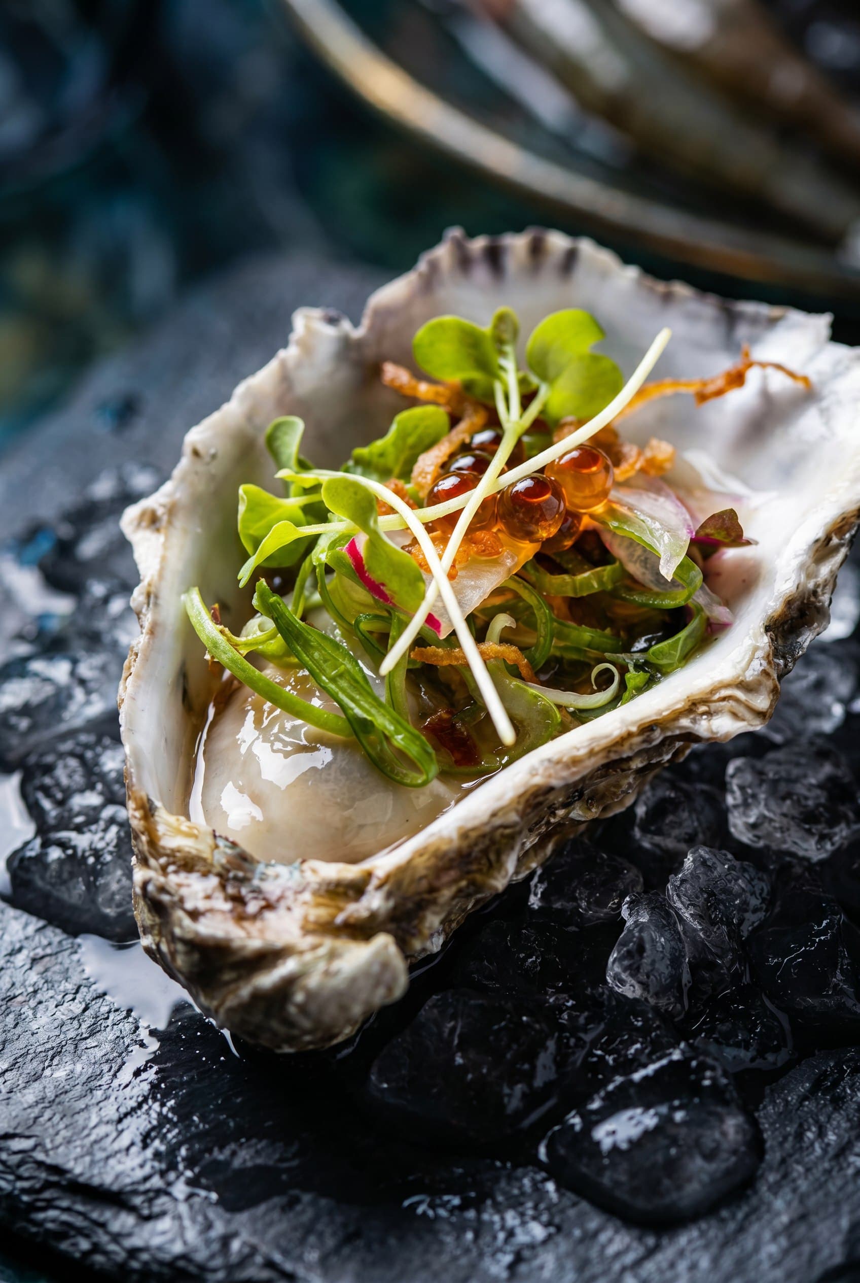 Art-directed close-up of an oyster dish on dark wet stone