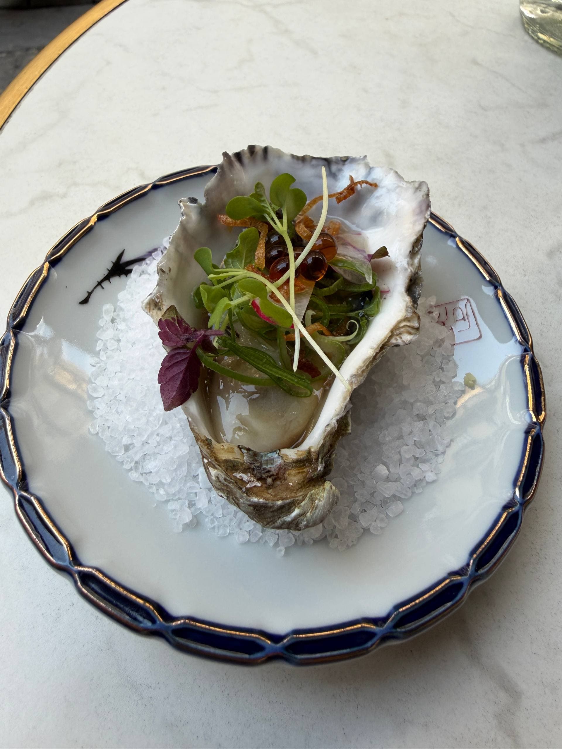 Phone photograph of an oyster dish served in its shell on crushed ice